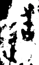 戰國中期或晚期