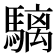 𩥬