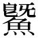 鱀