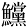 𩽳