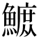 𫙴