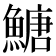 𩹶