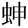 𧊋