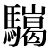 𩦏