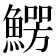 𩺑