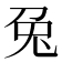 兔