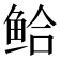 𫚗