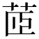 茝