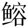 𫚦