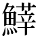 𩺵