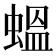 蝹
