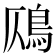 𩾸