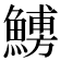 𩺹