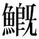 𩺺