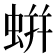 蛢