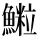 𩻑