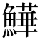 𩻮