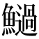 𩼣