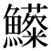 𩽃
