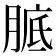 𦝉
