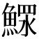 𩹌