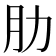 肋