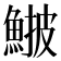 𩸉