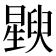 𬁚